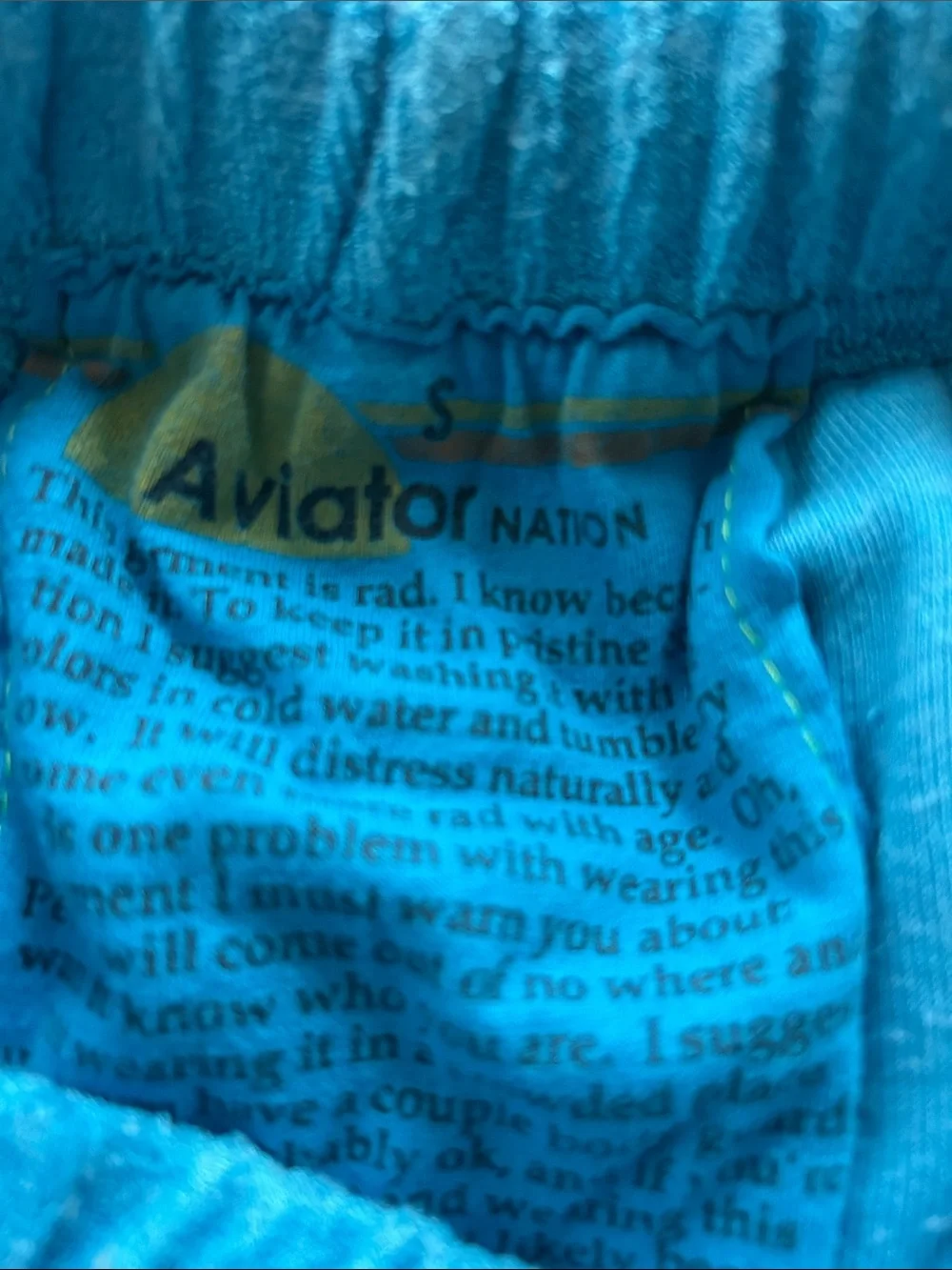 Rare Aviator Nation terry cloth lounge shorts